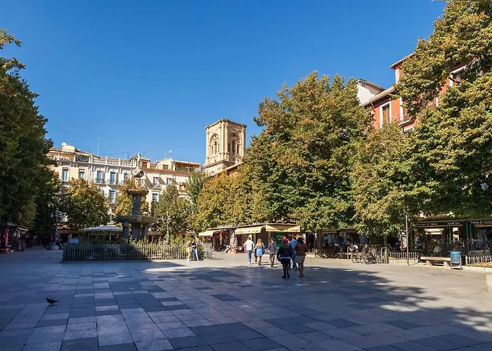 Dreaming Bib Rambla - Free Parking