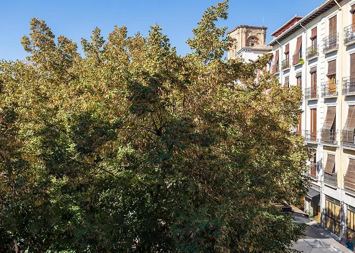 Dreaming Bib Rambla - Free Parking